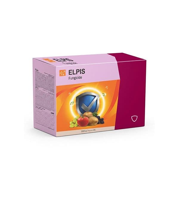 Elpis
