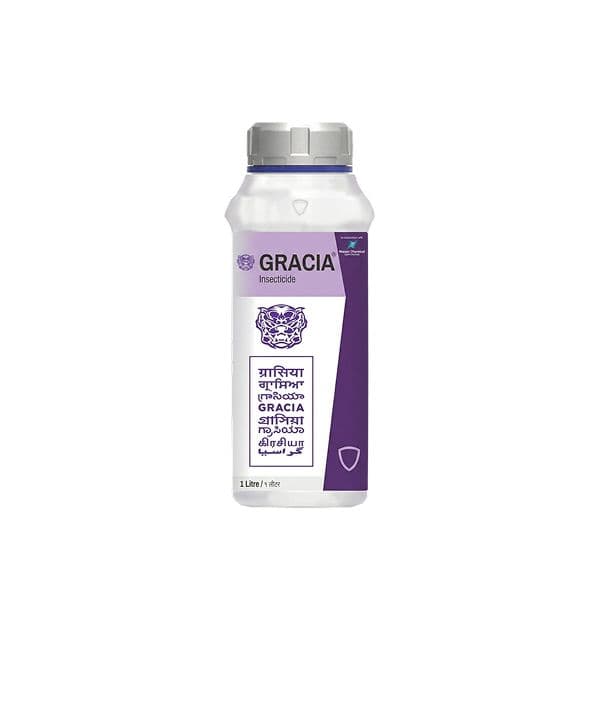 Gracia